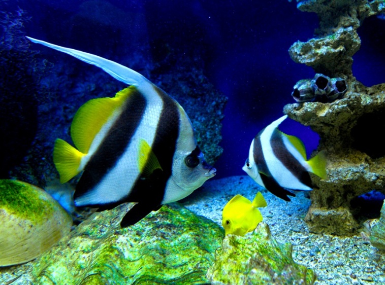 Oceanarium Międzyzdroje 