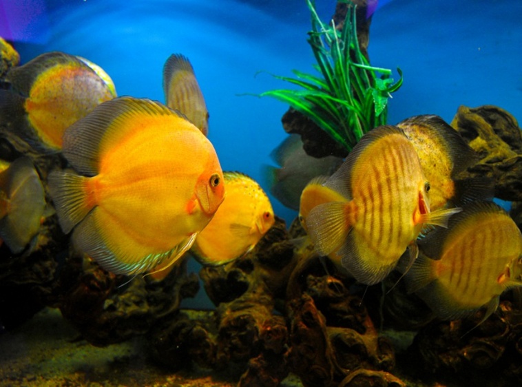 Oceanarium Międzyzdroje