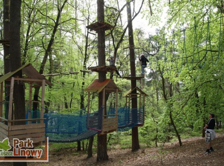 Park Linowy Bluszcz Międzyzdroje
