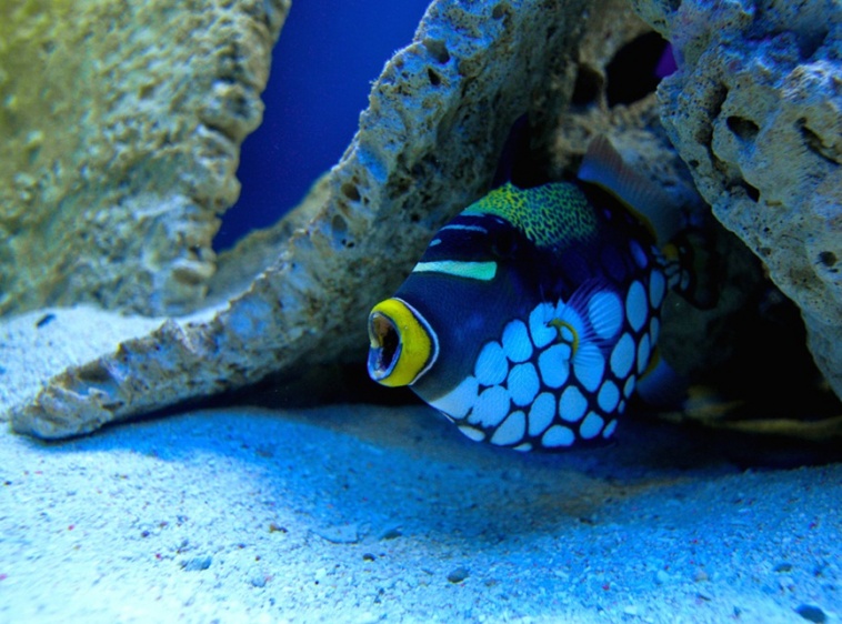 Oceanarium Międzyzdroje